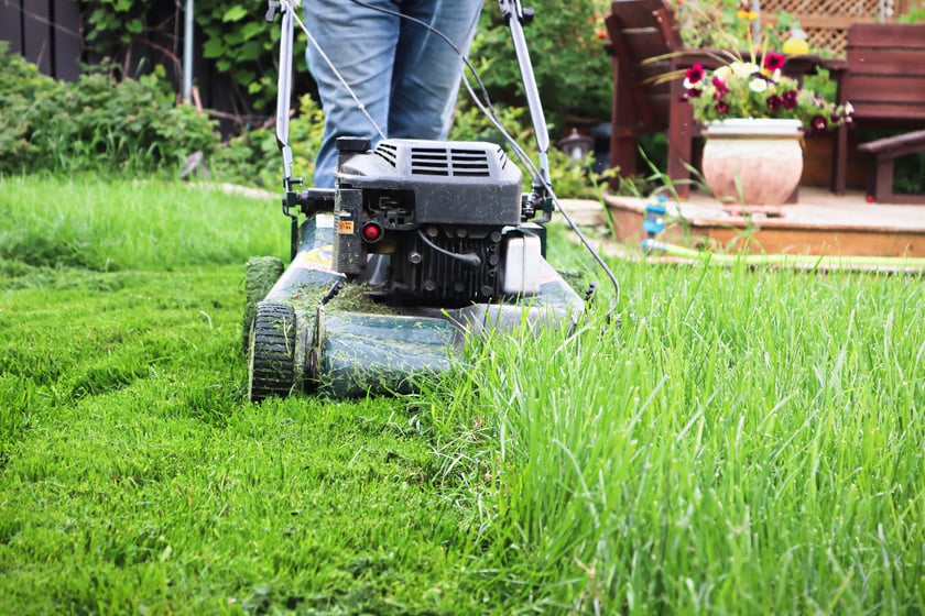 Person Using Lawnmower To Cut Tall Grass